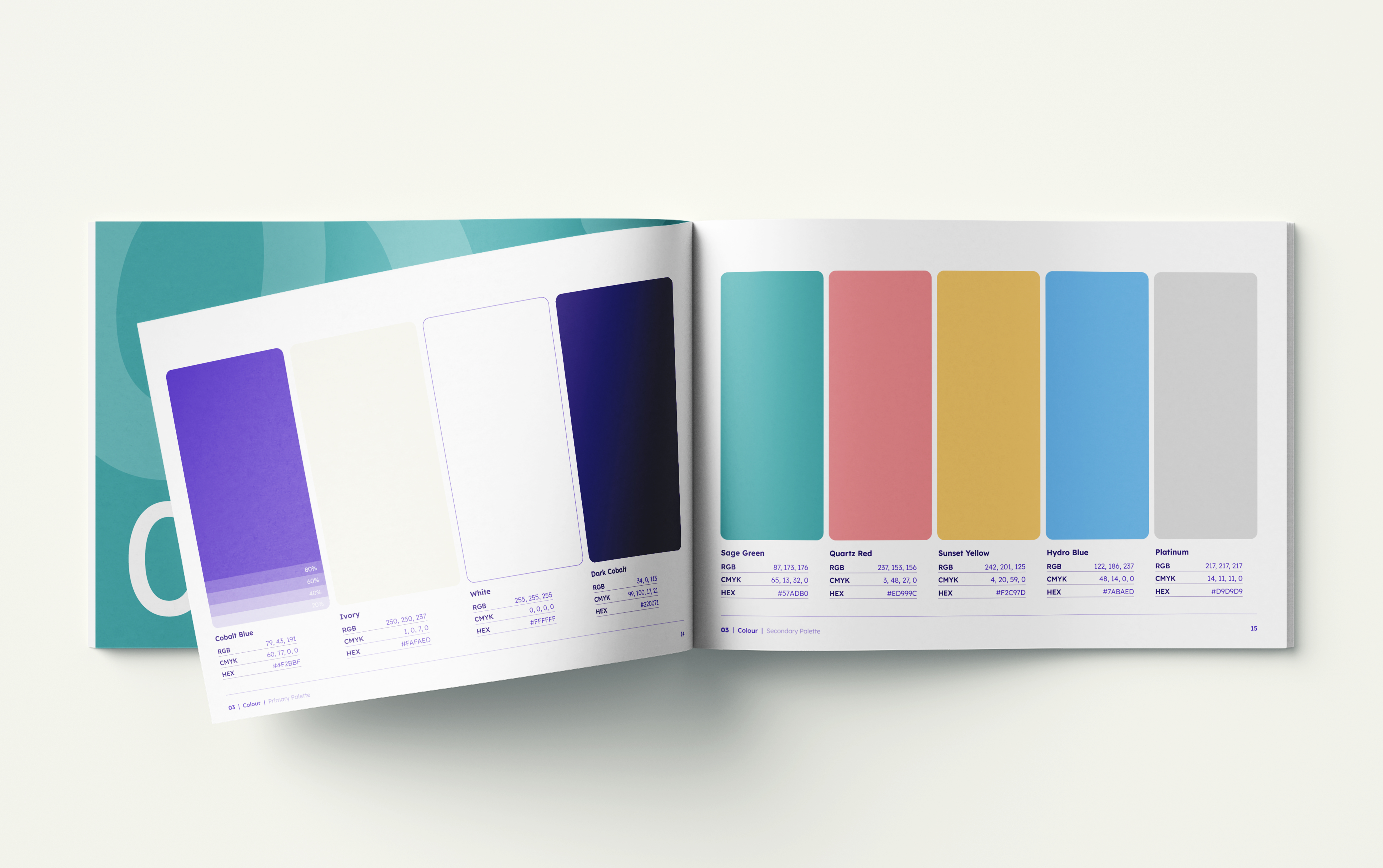 Hamelin Gudielines Mockup 03